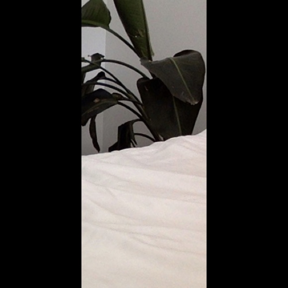 Meet your Posher, Juli